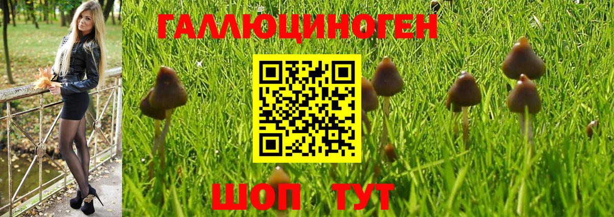 Галлюциногенные грибы MAGIC MUSHROOMS Сочи